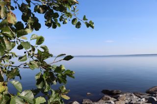 Maisemakuva Näsijärvestä. Vasemmassa laidassa koivun lehtiä, alakulmassa rannan kivikkoa.